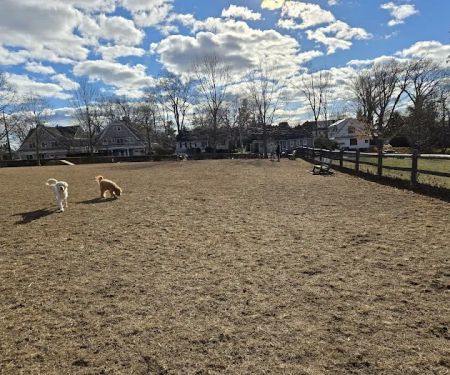 Rowayton Dog Park