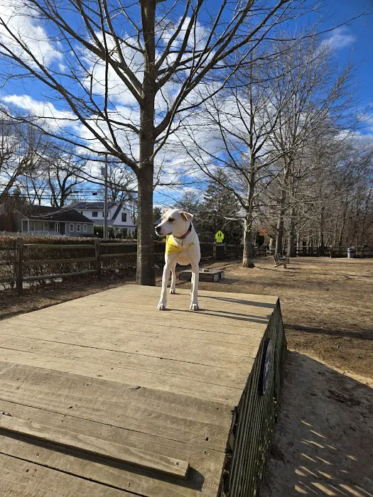 Rowayton Dog Park Picture 2