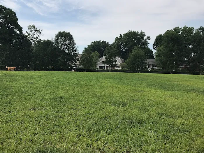 Rowayton Dog Park Picture 9