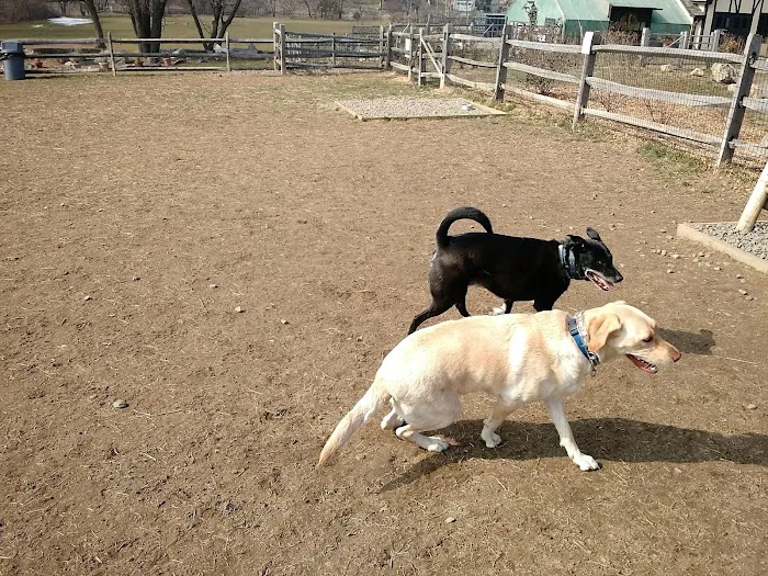 Rowayton Dog Park Picture 10