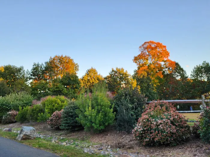 Rowayton Dog Park Picture 3