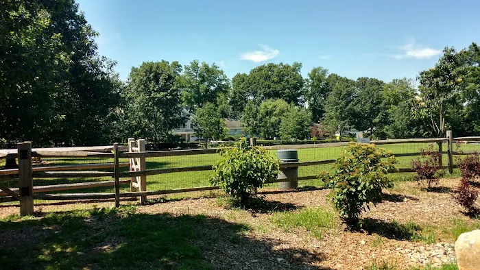 Rowayton Dog Park Picture 6
