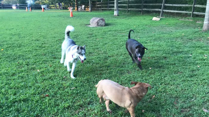Rowayton Dog Park Picture 5