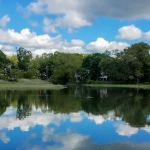 Farm Creek Preserve