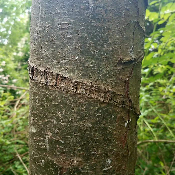 Farm Creek Preserve Picture 4