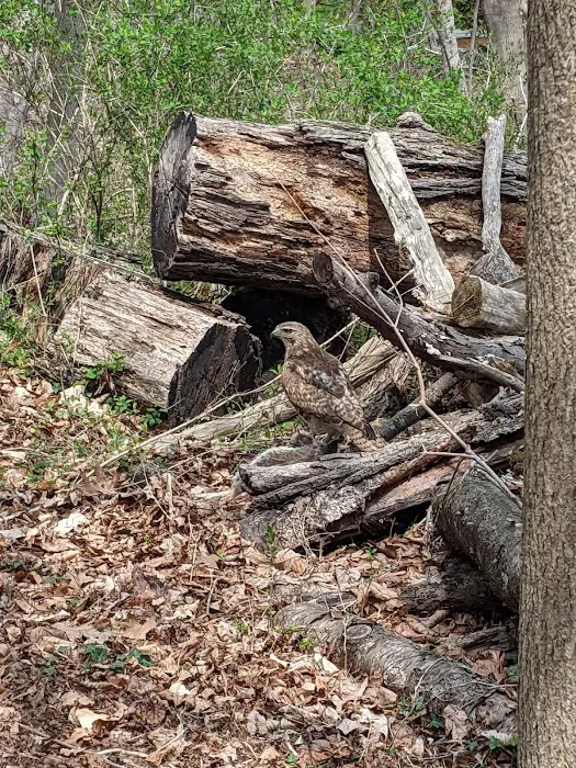 Farm Creek Preserve Picture 6
