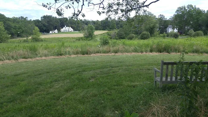 Pine Croft Meadow Preserve Picture 6