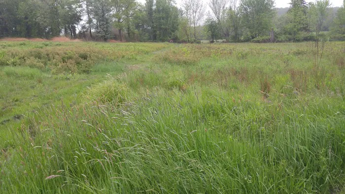Pine Croft Meadow Preserve Picture 5