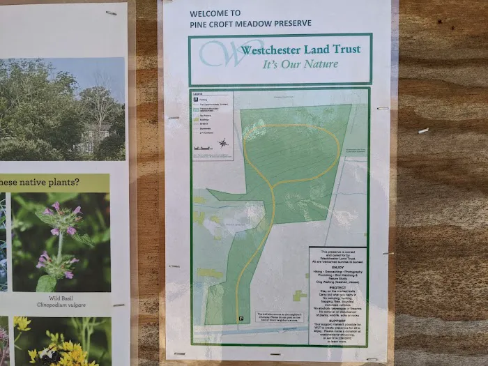 Pine Croft Meadow Preserve Picture 8