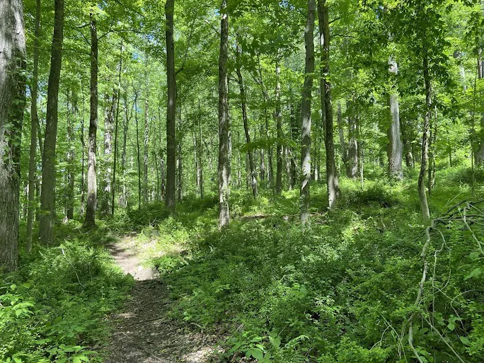 Long Pond Preserve Picture 7