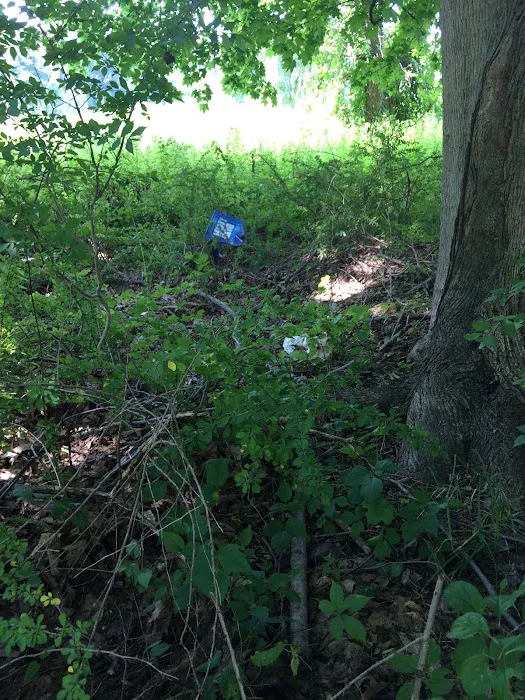 Long Pond Preserve Picture 3