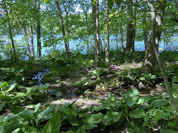 Long Pond Preserve Picture 9