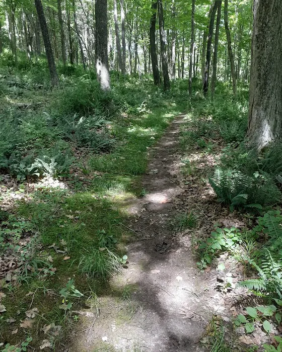 Grossman Preserve Picture 8