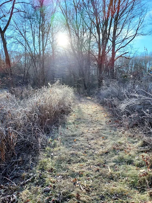 Grossman Preserve Picture 9