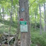 Grossman Preserve