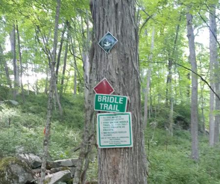 Grossman Preserve