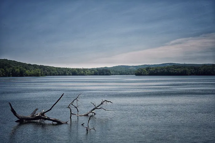 Titicus Reservoir Fishing Area Picture 1