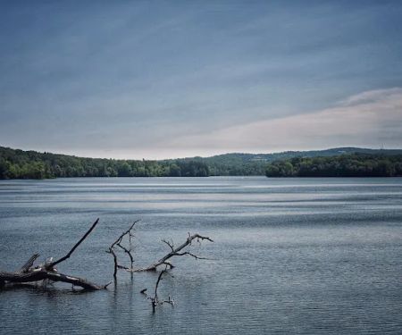 Titicus Reservoir Fishing Area