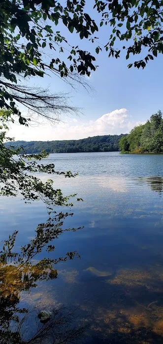 Titicus Reservoir Fishing Area Picture 3