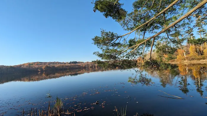 Titicus Reservoir Fishing Area Picture 10