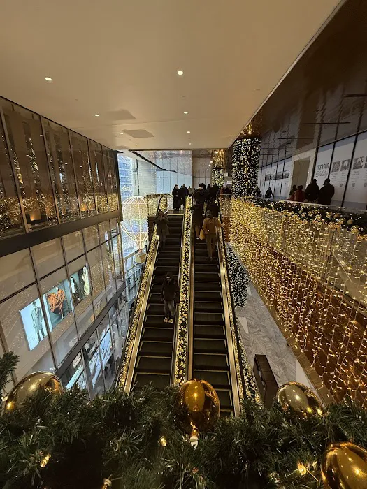The Mall at Hudson Yards Picture 1