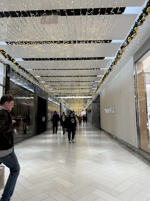The Mall at Hudson Yards Picture 2