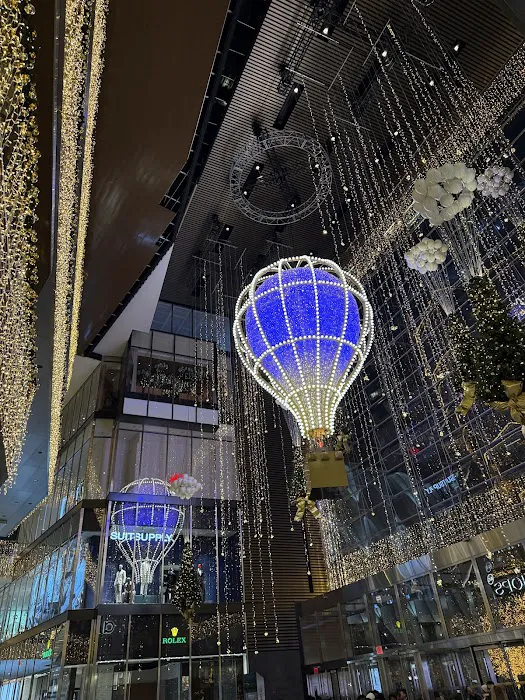The Mall at Hudson Yards Picture 10