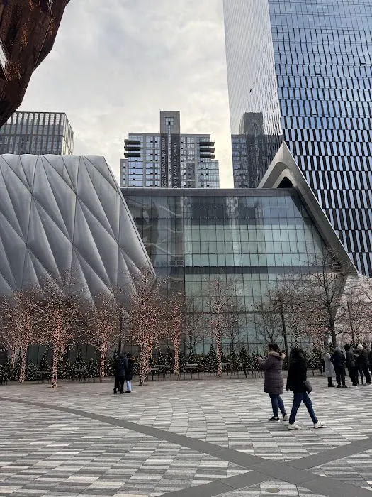 The Mall at Hudson Yards Picture 9
