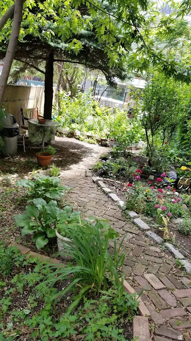 Alice's Garden Picture 2