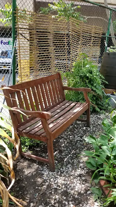 Alice's Garden Picture 6