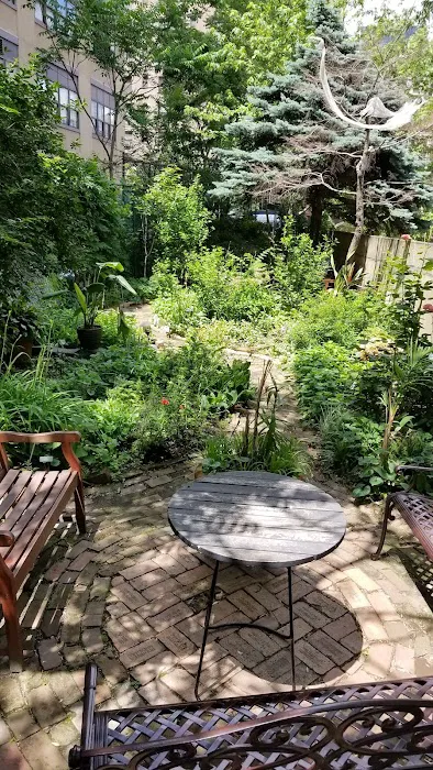 Alice's Garden Picture 4