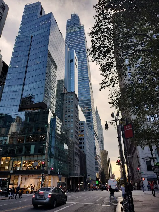 Municipality Manhattan Picture 4