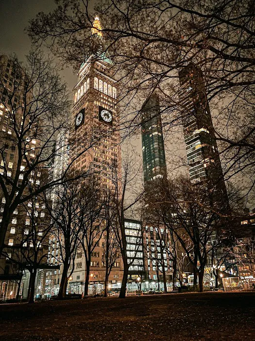 Madison Square Park Picture 5