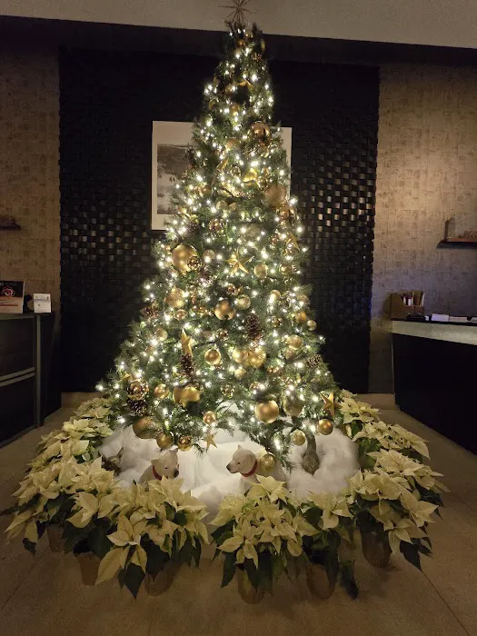 The Pulse Marriott Picture 2