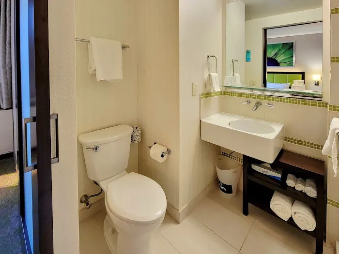 SpringHill Suites New York Midtown Manhattan/Fifth Avenue Picture 8