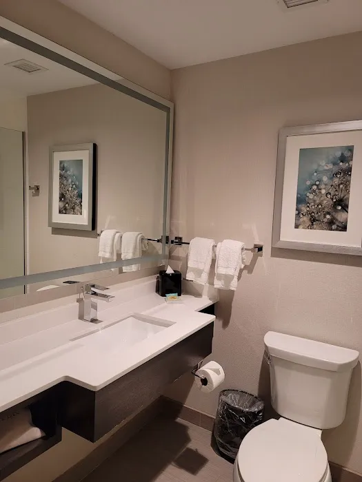 Hilton Garden Inn NYC Financial Center/Manhattan Downtown Picture 9