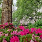 Immigrant Heritage Plaza
