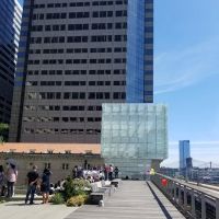 Elevated Acre ico