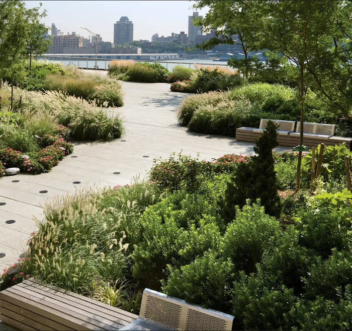 Roselinda Garden (Public Space) Picture 10