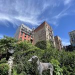 Elizabeth Street Garden