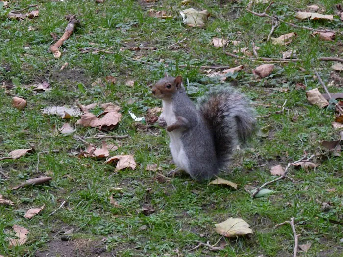 Corlears Hook Park Picture 9