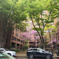 Mercer Playground ico