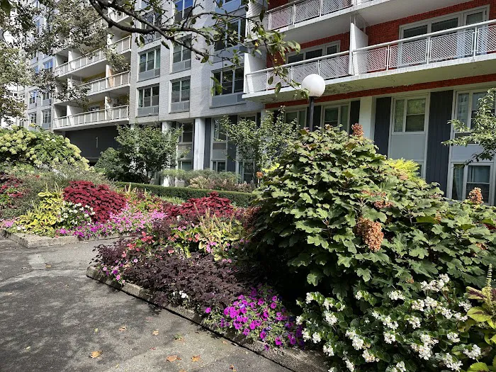 Sasaki Garden Picture 4