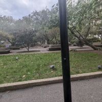 Sasaki Garden ico