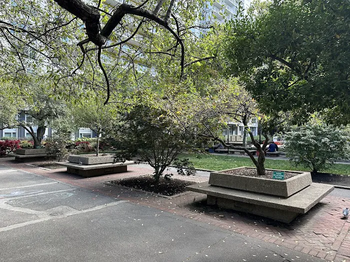 Sasaki Garden Picture 5