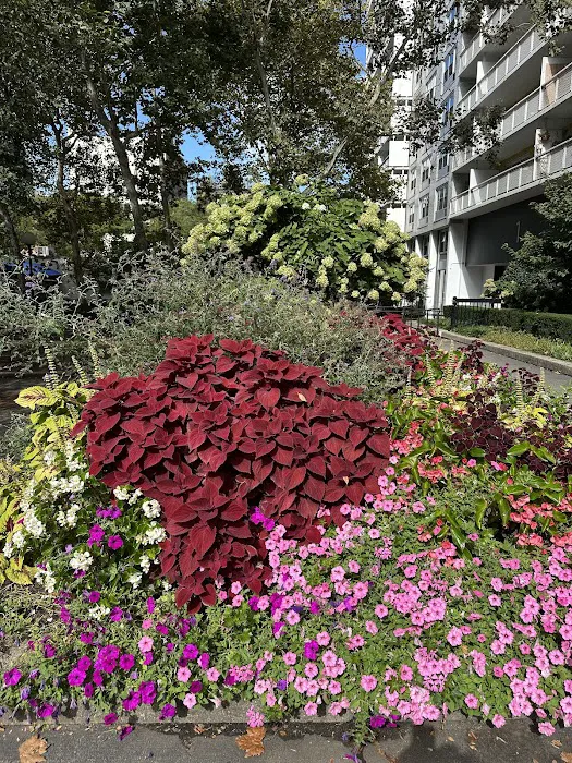 Sasaki Garden Picture 6