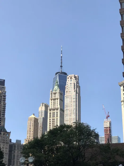 James Madison Plaza Picture 1