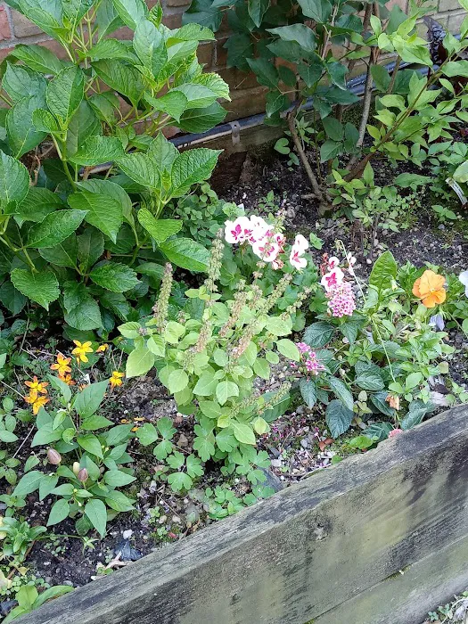 FishBridge Park Garden Picture 2