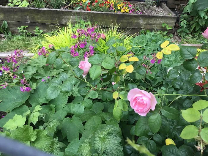 FishBridge Park Garden Picture 7