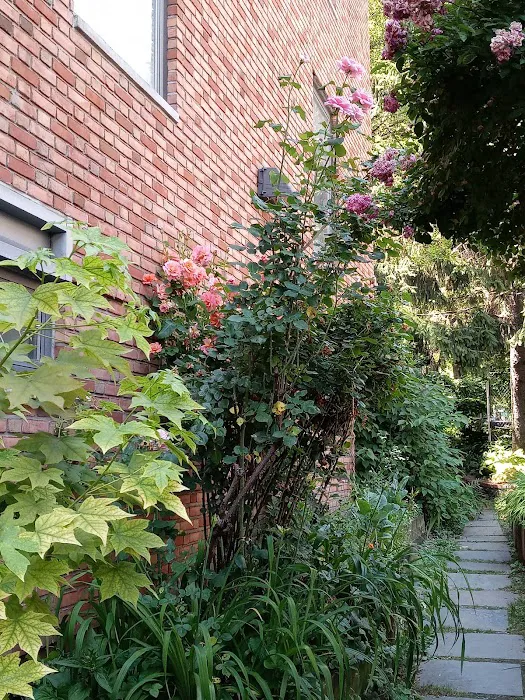FishBridge Park Garden Picture 6